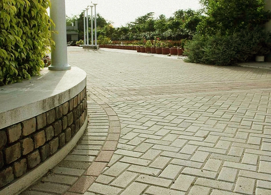Area halaman taman dengan paving solo raya motif bata berwarna abu-abu dan aksen garis lengkung, dikelilingi tanaman hias.