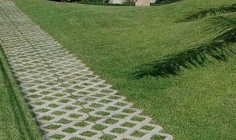 manfaat grass block