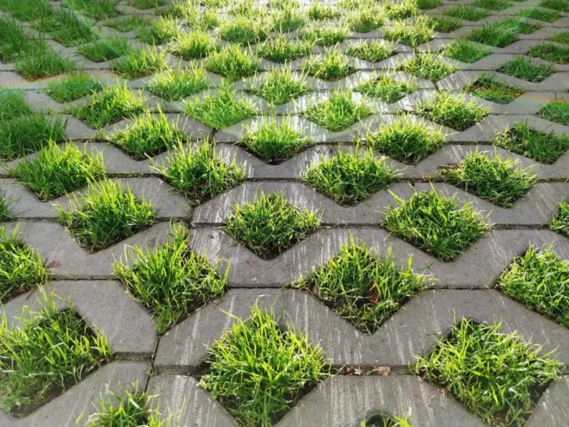 Permukaan grass block rumput berbentuk hexagonal dengan celah berisi rumput hijau yang tumbuh merata