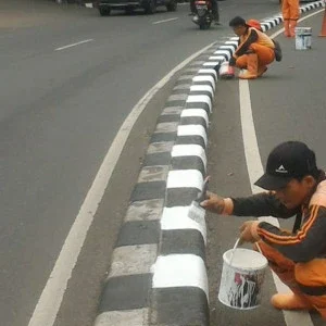 Jenis Kanstin Jalan: Fungsi, Manfaat, dan Panduan Lengkap